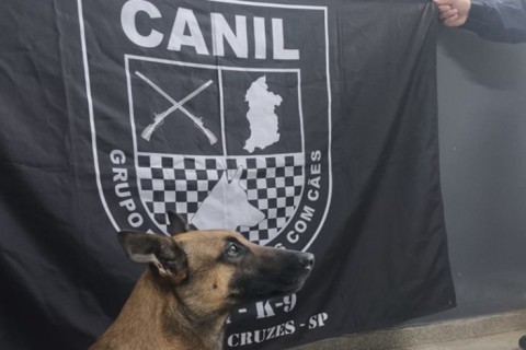 Canil da Guarda Municipal de Mogi localiza quase 700 porções em drogas