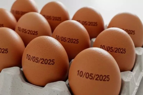 Agricultura suspende determinação de carimbar data de validade em ovos