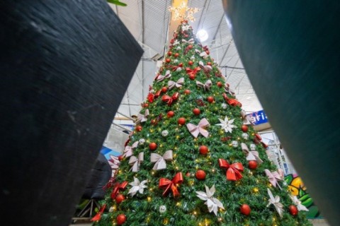 Mercado Municipal ganha clima natalino com árvore gigante e programação especial em Dezembro
