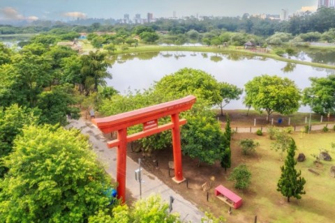 Serviços essenciais funcionarão normalmente no feriado prolongado da Consciência Negra