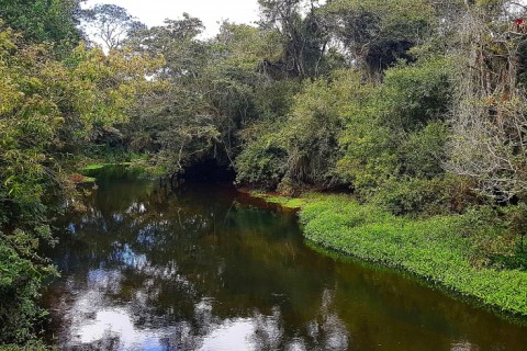 No Dia da Água (22/03), Semae Mogi das Cruzes promove visita monitorada e atividades no Largo do Rosário