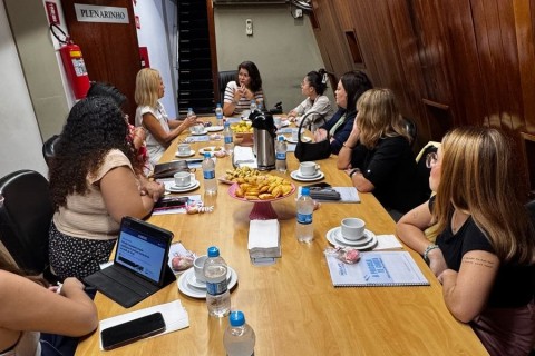 Vereadora Priscila Yamagami Apresenta Projetos de Lei Voltados para a Proteção das Mulheres em Mogi das Cruzes
